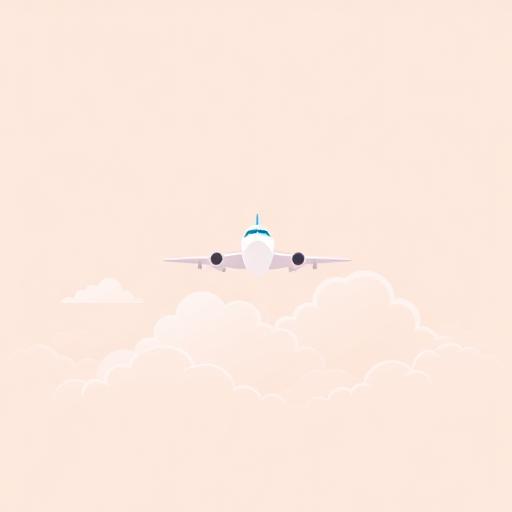 Flights